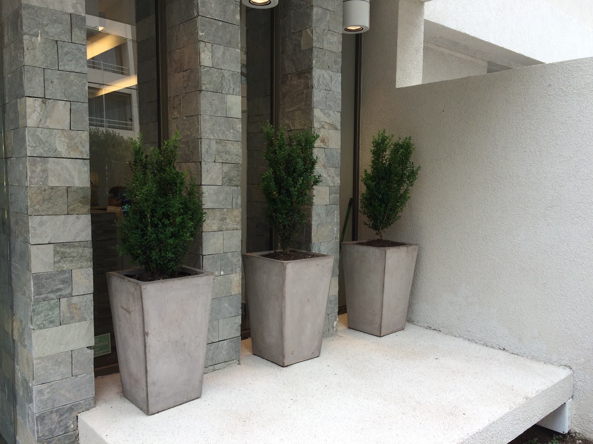 Áreas Comunes Boulevard Poniente — imagen 10