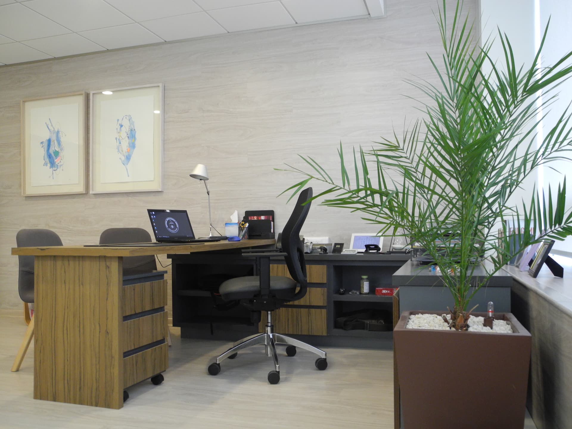 Oficinas Ciudad Empresarial — imagen 8