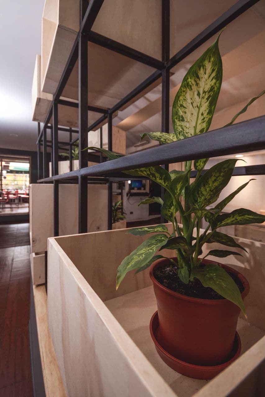 Sushi Home — imagen 4